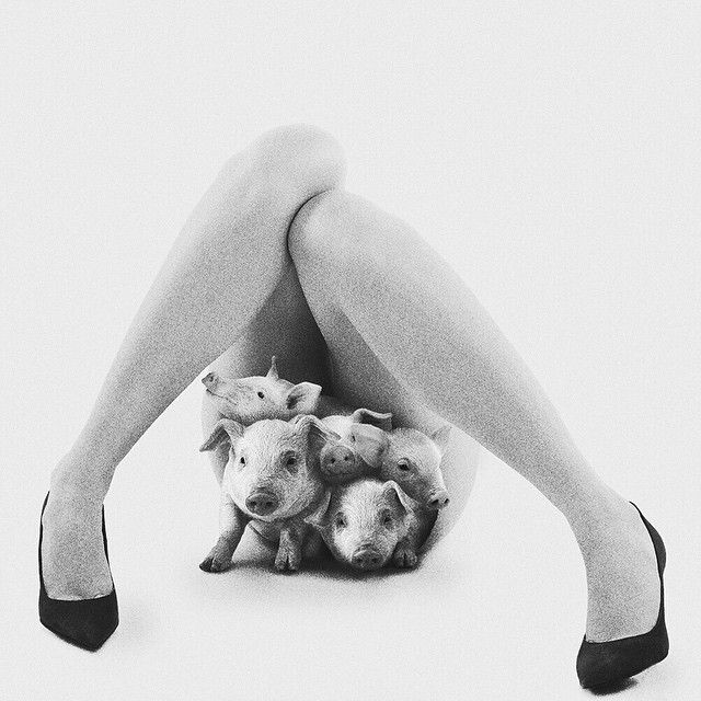 Leftovers 3