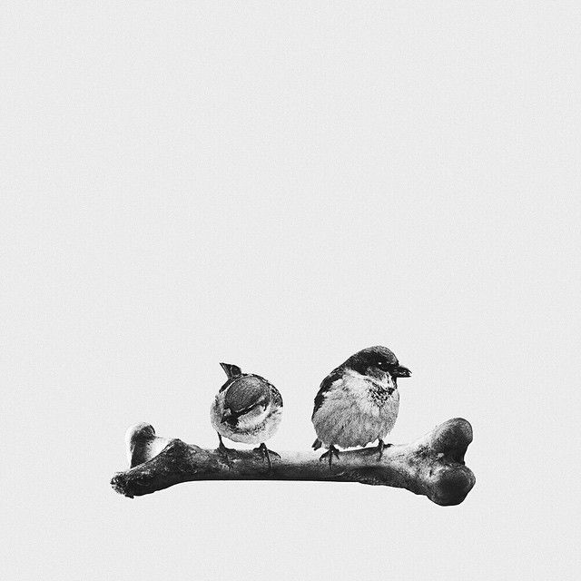 Leftovers 8