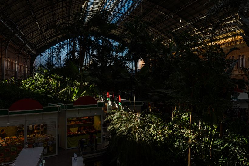 Antigua estación de Atocha 11