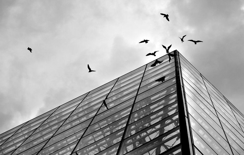 Paisajismo/Arquitectura Civil 1