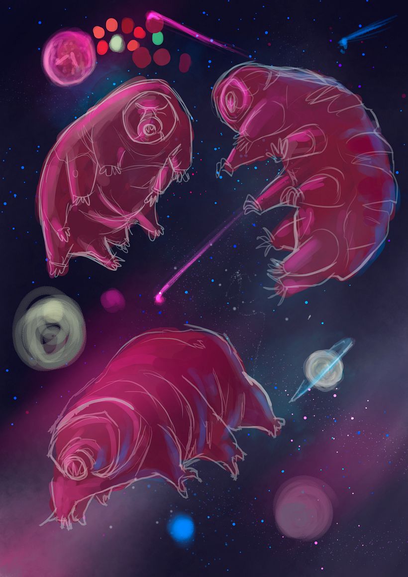 Tardigrados 0