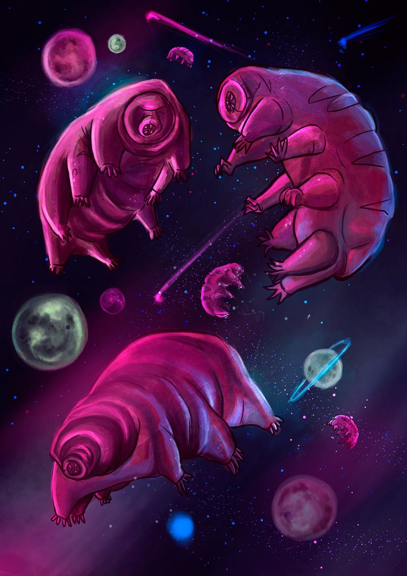 Tardigrados 1