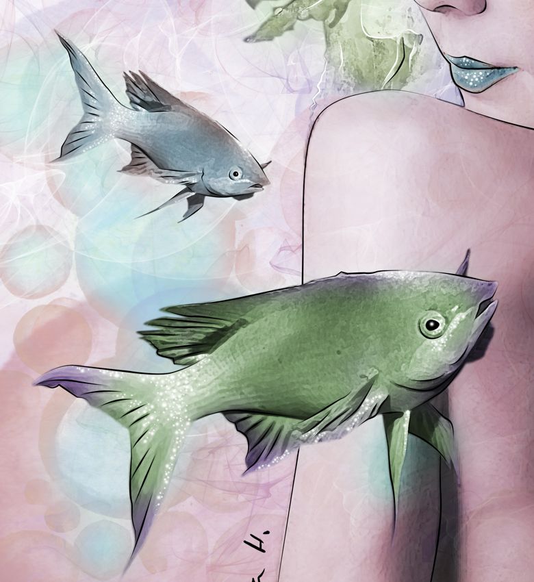 Medusas 0