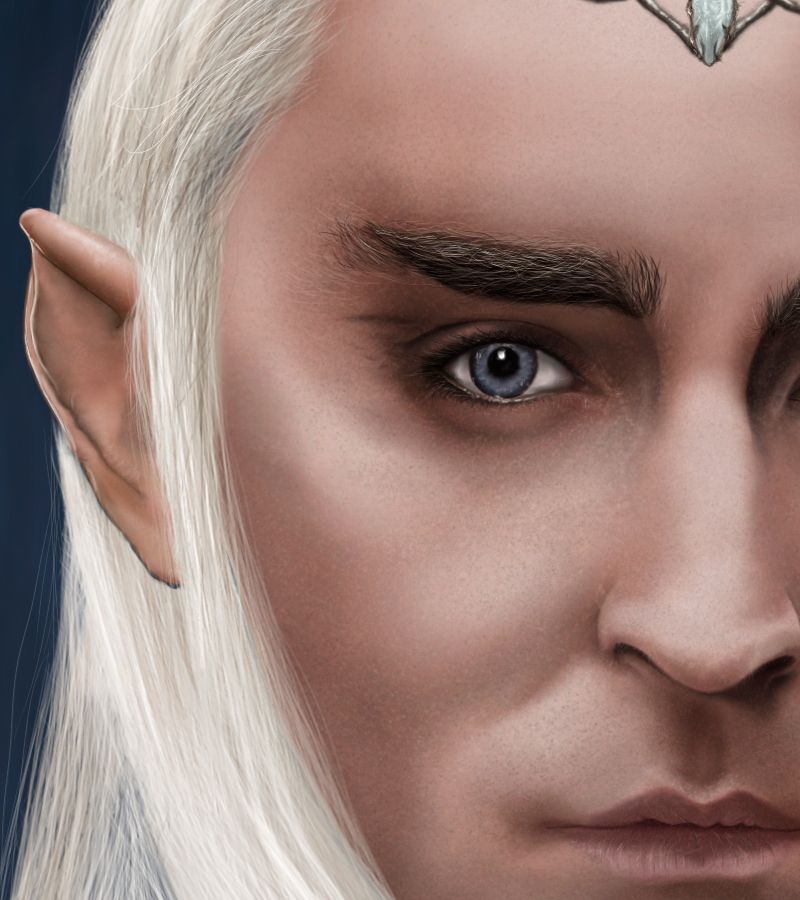 Fan Art. Thranduil 0