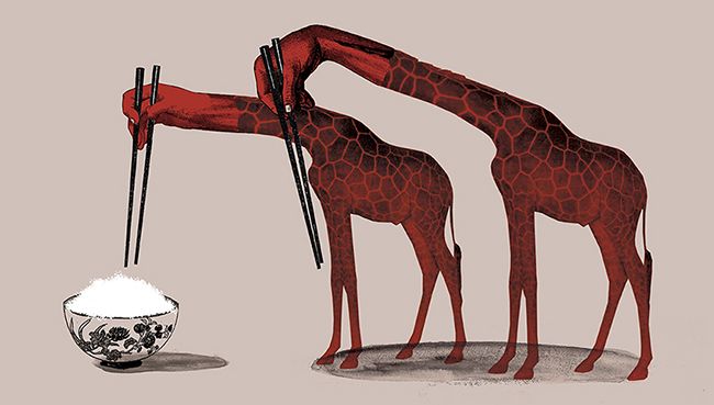 Corriere della Sera, La Lettura  2