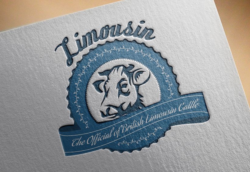 Branding Limousin 0