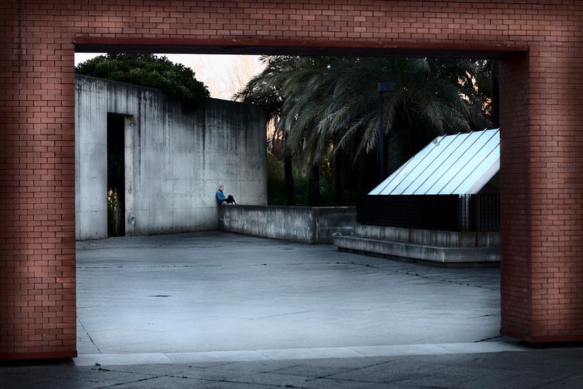 A few acres of colour (fotografía)  6