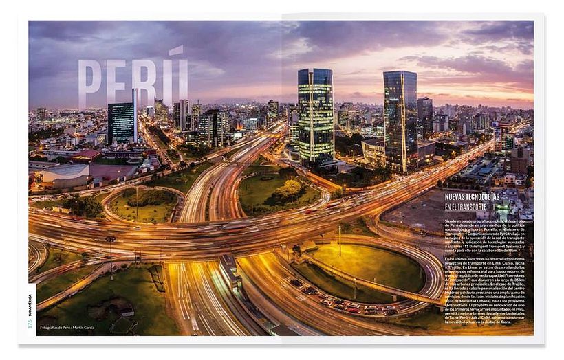 Annual Report 2014-2015 IDOM 12