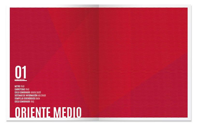 Annual Report 2014-2015 IDOM 3