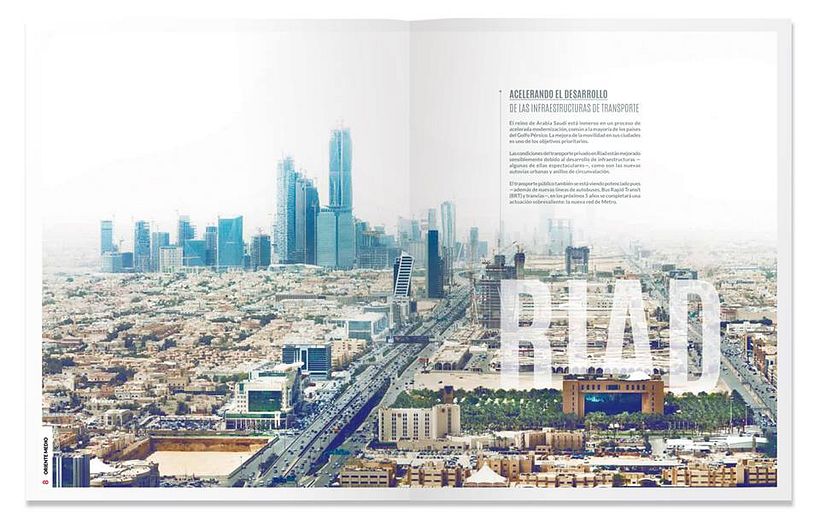 Annual Report 2014-2015 IDOM 4