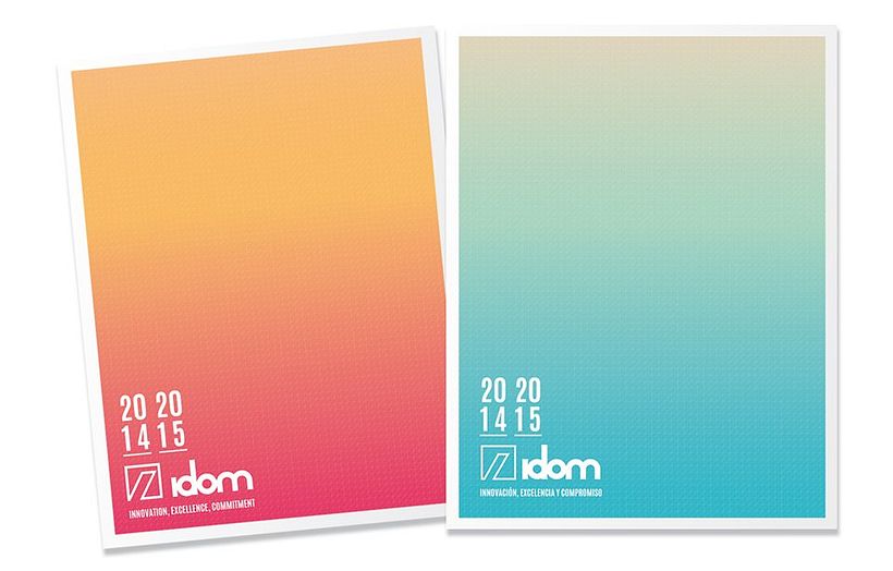Annual Report 2014-2015 IDOM 1