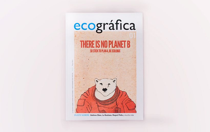 Ecográfica 1