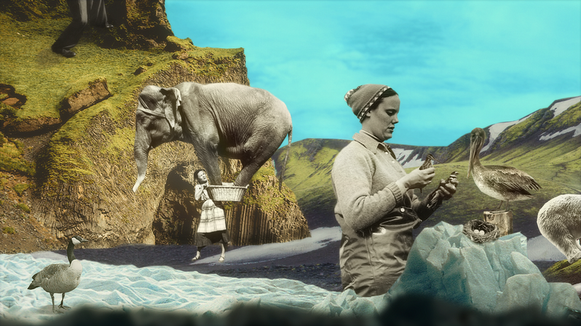 Anuncio www.replanet.com 1