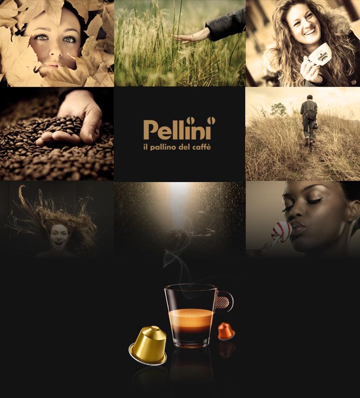 Pellini -1