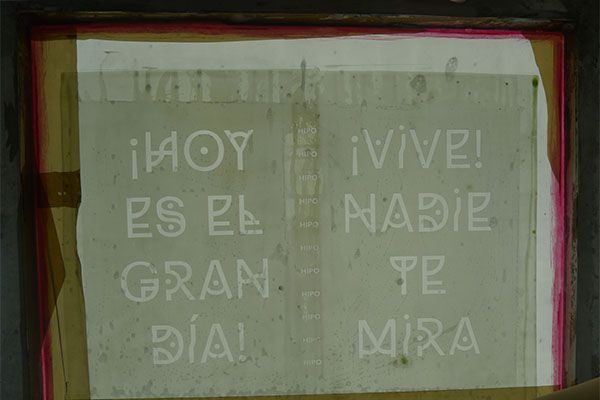 HIPO EUFORIA 13