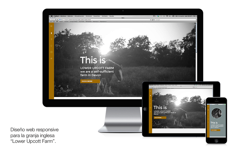 DISEÑO WEB 0