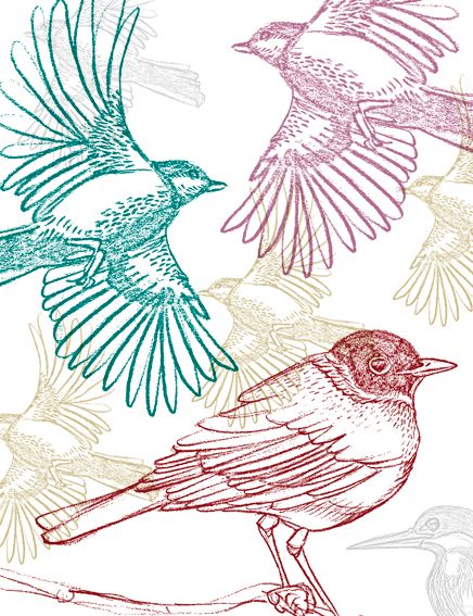 From the Nature (illustrations serie) 3