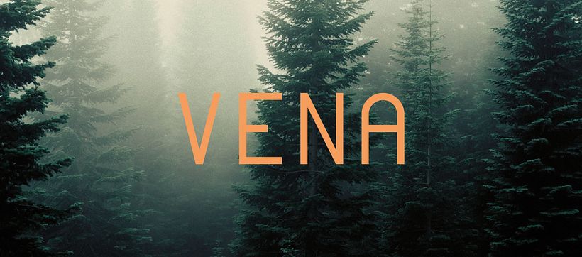 V E N A / T Y P E F A C E 0