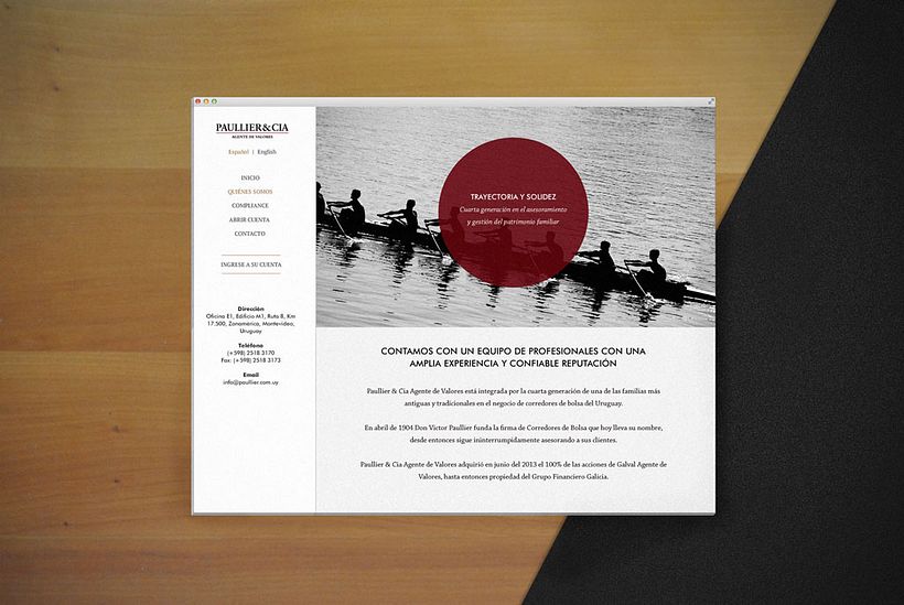 Paullier Sitio web Responsive 0