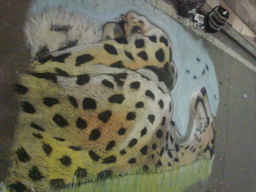 Guepardo 2