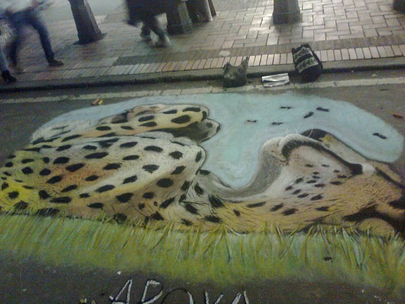 Guepardo 1