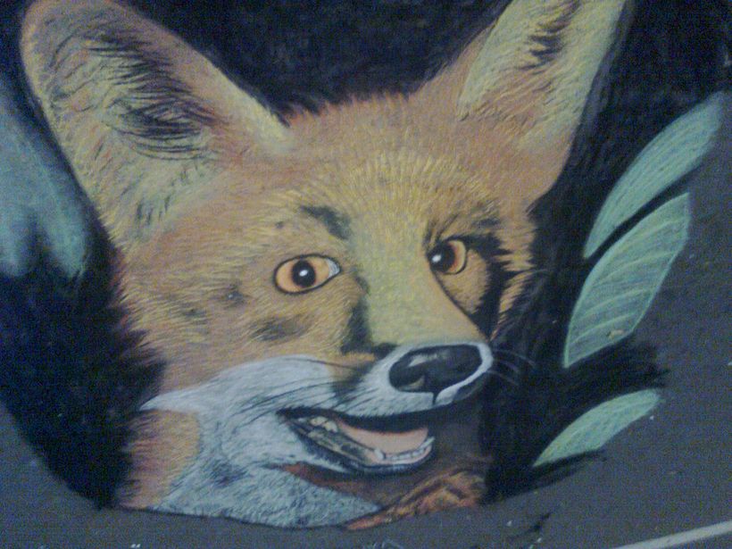 Zorro 0