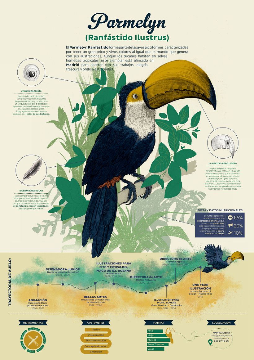 Currículum infográfico  0
