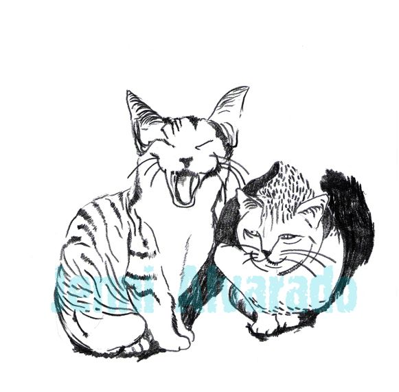 Gatos de Barrio 2