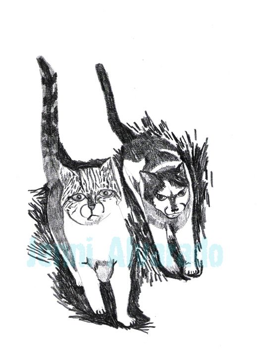 Gatos de Barrio 3