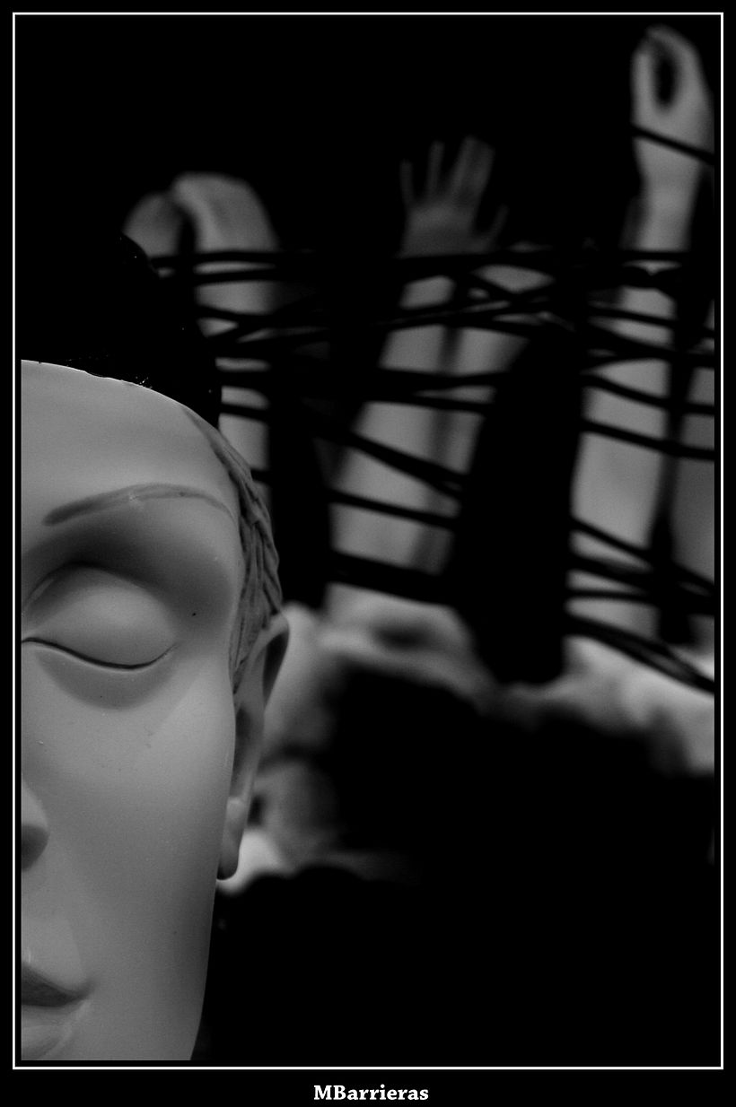 Maniquíes proyect 0