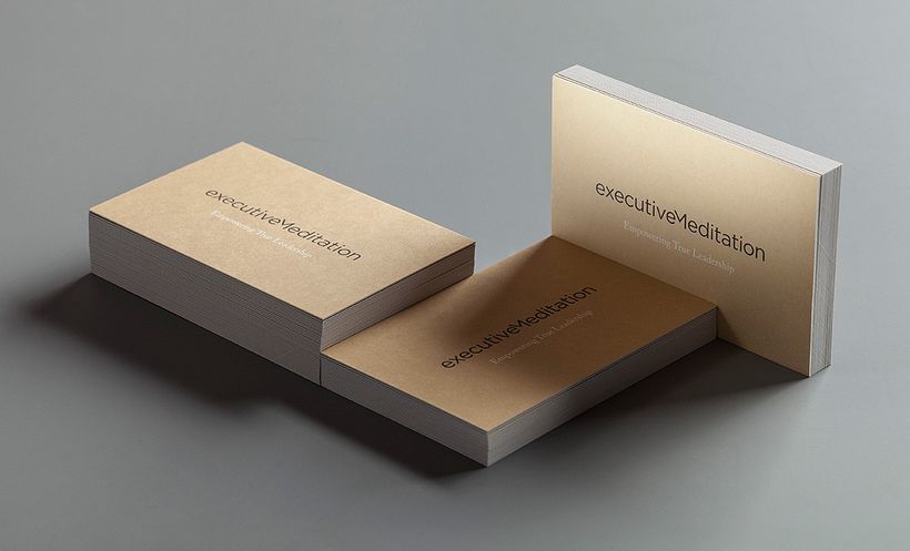 Executive Meditation 2