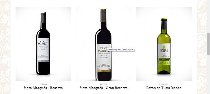 Página Web_Baronía de Turís 5