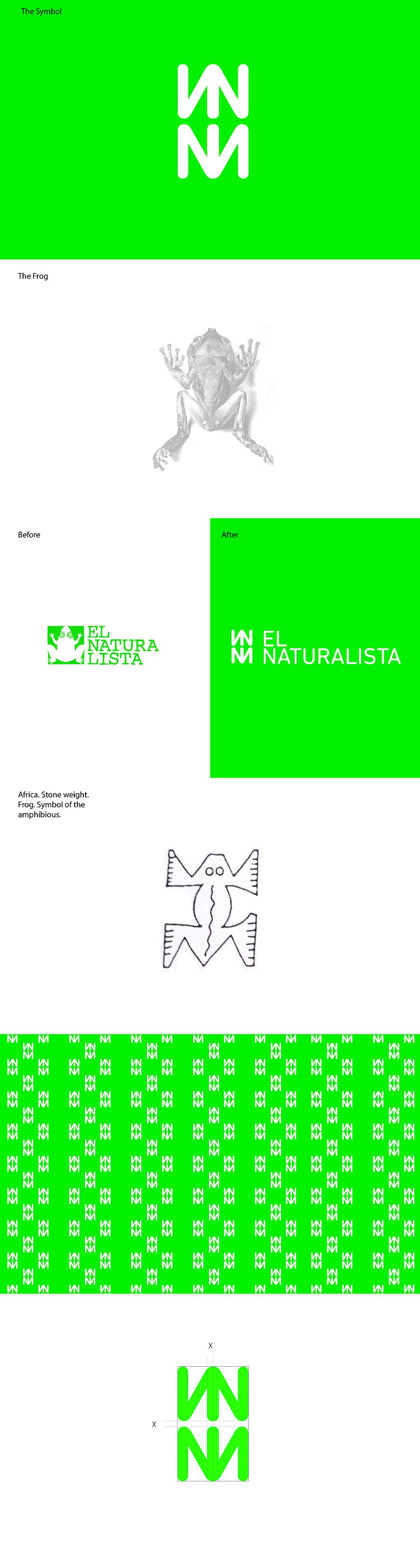 New Brand New Frog El Naturalista 1