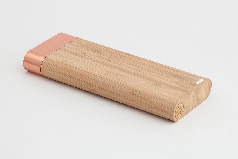 BAMBOO BATTERY 1