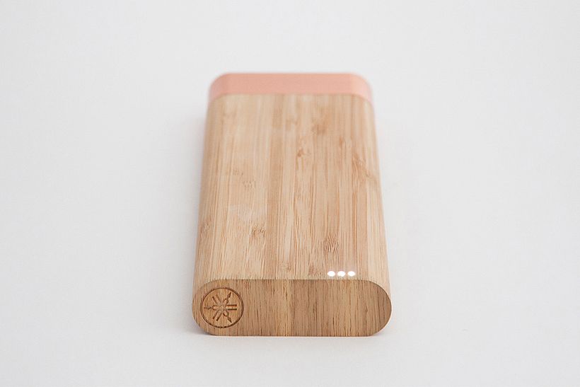 BAMBOO BATTERY 3
