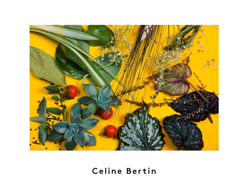 Celine Bertin - Créatrice d'Ambiances Extèrieures  0