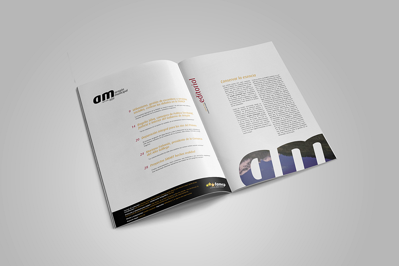Aragón municipal, revista 5