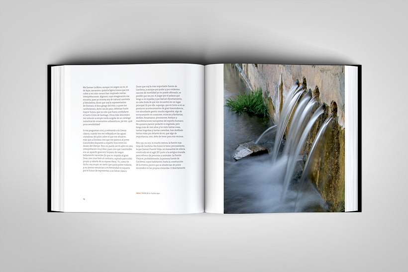 La mora. Una fuente, muchas vidas 2