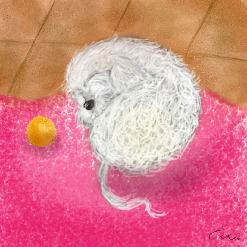 Mis dibujos 17
