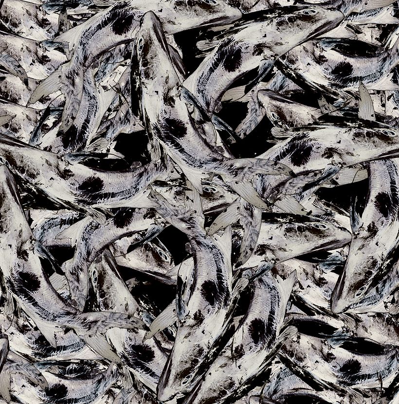 Peces/PATTERN 0