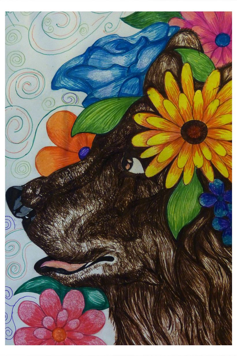 Illustración color. 5