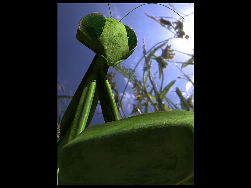 praying mantis - 3d model 0