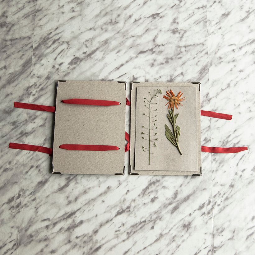 Flower Press Kit 3