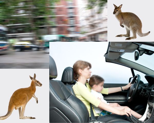 Retoques Digitales. 14