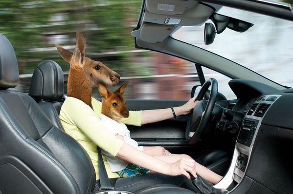 Retoques Digitales. 16