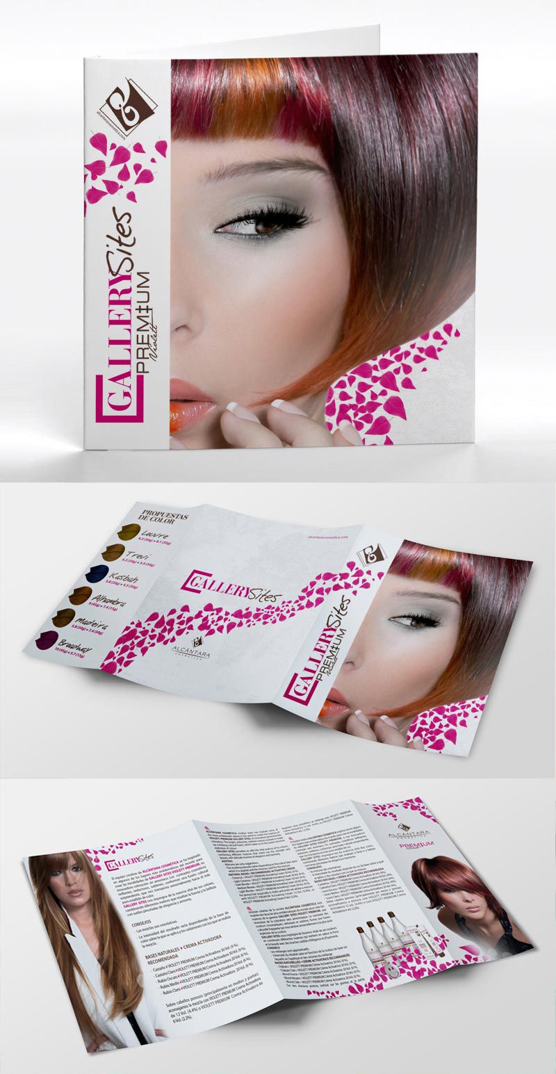 Gallery Sites Premium Logo and Bochure 0