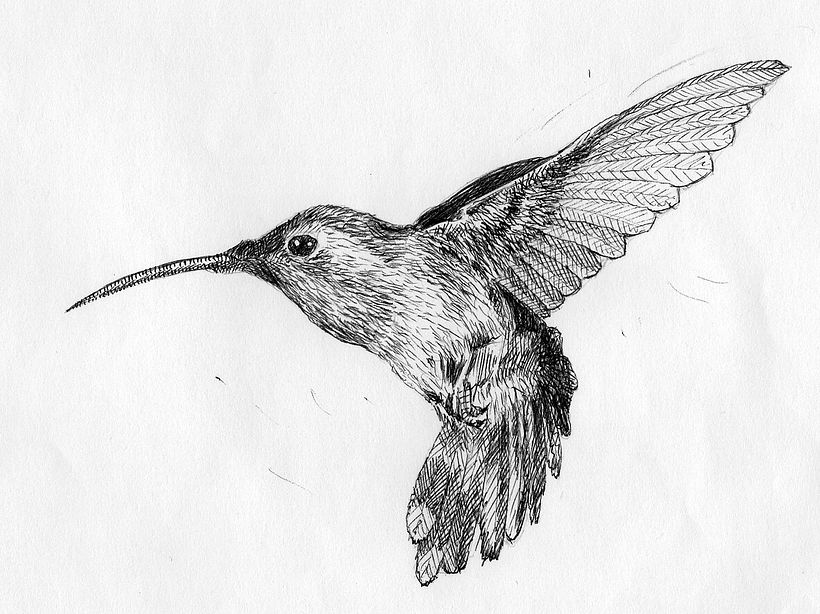 Sketches 1