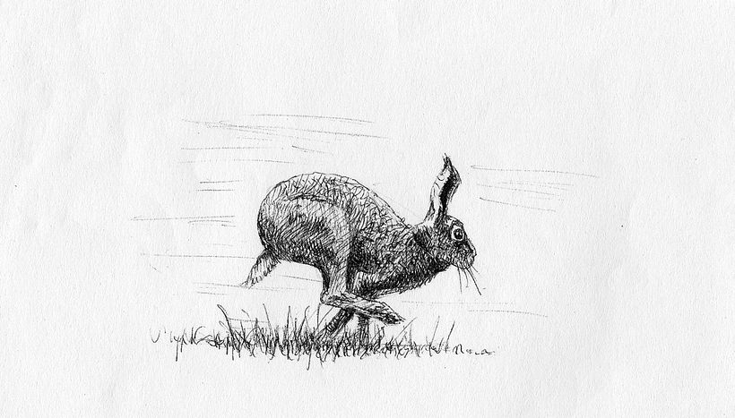 Sketches 3