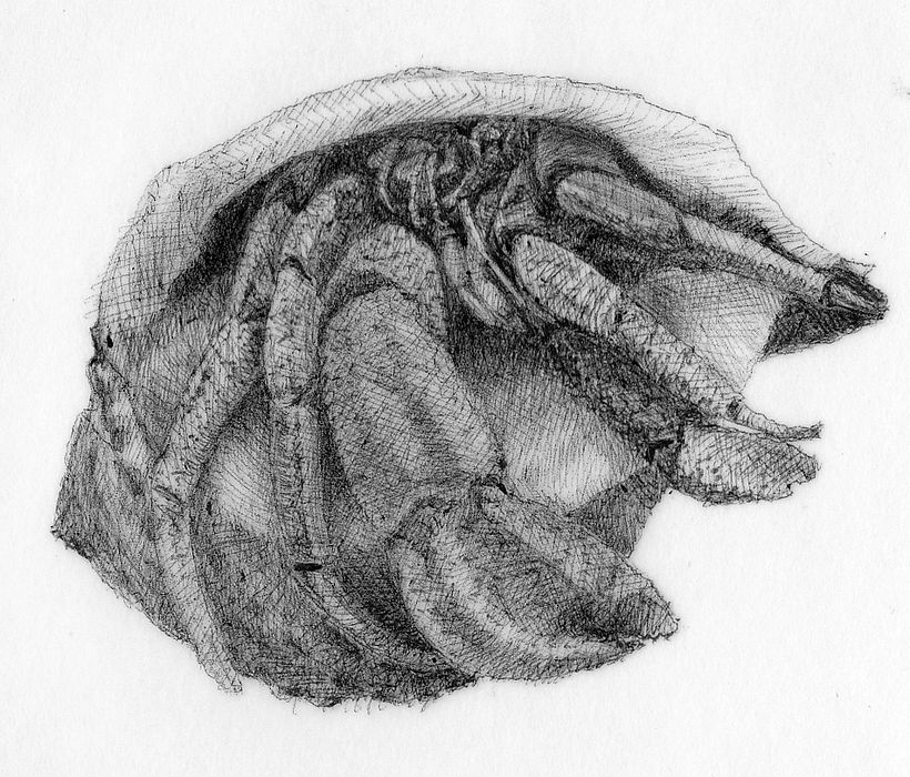Sketches 5