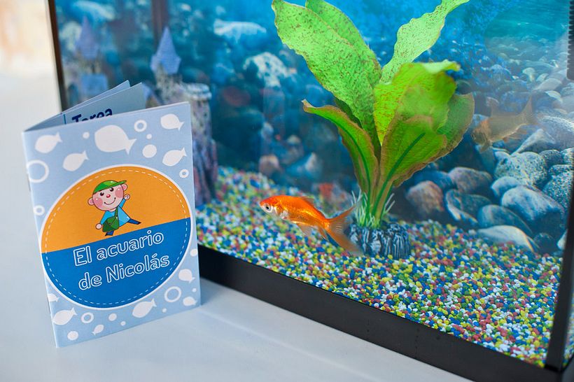 Regalos personalizados -1